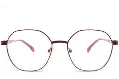BS0420-0455_Brown_Geometric_Metal_Glasses_front