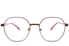 BS0420-0455_Brown_Geometric_Metal_Glasses_front