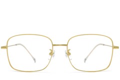 BS0423-0106_Golden_Rectangular_Titanium_Glasses_front