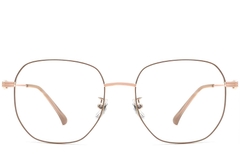BS0423-0147_Brown_Geometric_Metal_Glasses_front