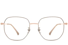 BS0423-0147_Brown_Geometric_Metal_Glasses_front