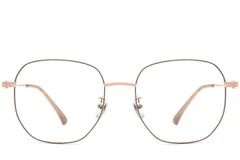 BS0423-0147_Brown_Geometric_Metal_Glasses_front