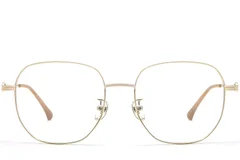 BS0423-0151_Golden_Geometric_Metal_Glasses_front