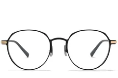 BS1025-0334_Golden_Oval_Metal_Glasses_front