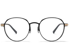 BS1025-0334_Golden_Oval_Metal_Glasses_front