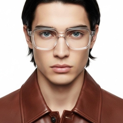 bs1902-0149_transparent_rectangular_acetate_glasses_model