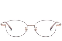 BS1913-0104_Grey_Oval_Titanium_Glasses_front