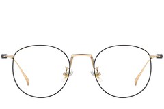 BS1913-0130_Black_Oval_Titanium_Glasses_front