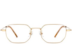 BS1913-0237_Golden_Geometric_Titanium_Glasses_front