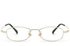 BS1913-0329_Golden_Oval_Titanium_Glasses_front