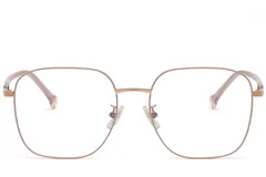 BS1913-0342_Brown_Rectangular_Metal_Glasses_front