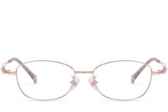 BS1913-0616_Golden_Butterfly_TR90_glasses_front