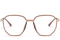 BS1913-0626_Brown_Geometric_TR90_glasses_front