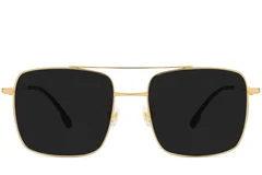 BS1913-0671_Golden_Aviator_Titanium_sunglasses_front