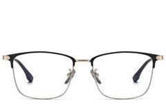 BS1913-0843_Golden_Oval_Titanium_glasses_front