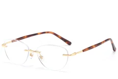 BS1913-0911_Golden_Invisible_Metal_Glasses_corner
