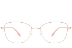 BS1924-0006_Golden_Butterfly_Metal_Glasses_front