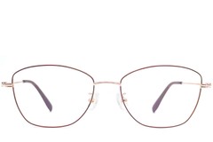 BS1924-0010_Red_Butterfly_Metal_Glasses_front