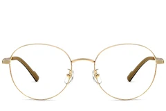 BS1924-0351_Golden_Oval_Titanium_Glasses_front