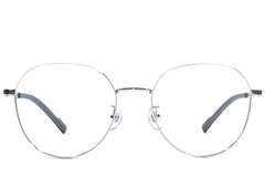 BS1924-0361_Silver_Oval_Titanium_Glasses_front
