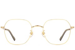 BS1924-0372_Golden_Geometric_Titanium_Glasses_front