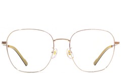 BS1924-0386_Golden_Rectangular_Titanium_Glasses_front