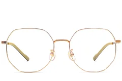BS1924-0393_Golden_Geometric_Titanium_Glasses_front
