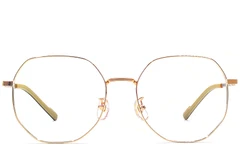 BS1924-0393_Golden_Geometric_Titanium_Glasses_front