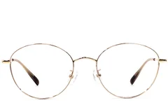 BS1924-0427_Golden_Oval_Metal_Glasses_front