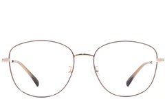 BS1924-0444_Brown_Oval_Metal_Glasses_front