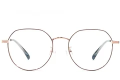 BS1924-0450_Brown_Oval_Metal_Glasses_front