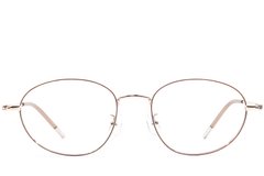 BS1924-0457_Brown_Oval_Metal_Glasses_front