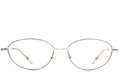 BS1924-0478_Brown_Oval_Metal_Glasses_front