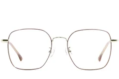 BS1924-0486_Brown_Rectangular_Metal_Glasses_front