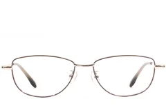 BS1924-0511_Brown_Butterfly_Metal_Glasses_front