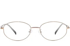BS1924-0517_Brown_Oval_Metal_Glasses_front
