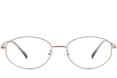 BS1924-0517_Brown_Oval_Metal_Glasses_front