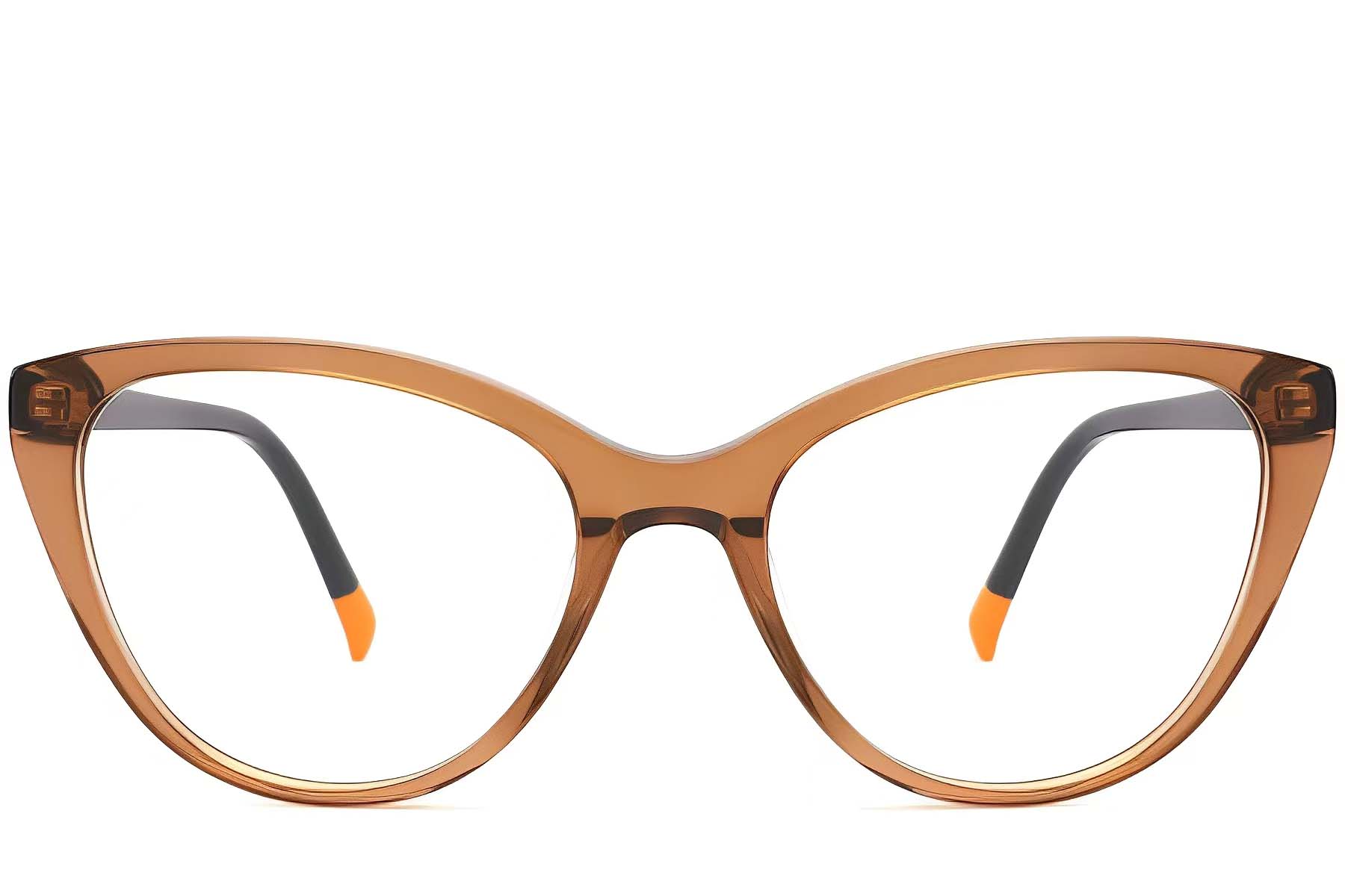 BS2012-0127_Brown_Butterfly_Acetate_Glasses_front