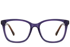 BS2012-0184_Purple_Butterfly_Acetate_Glasses_corner-front