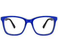 BS2012-0185_Blue_Butterfly_Acetate_Glasses_corner-front