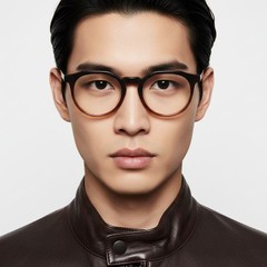 bs2012-0242_brown_irregular_acetate_glasses_model