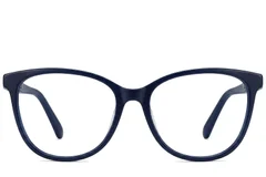 BS2012-0266_Blue_Butterfly_Acetate_Glasses_corner-front
