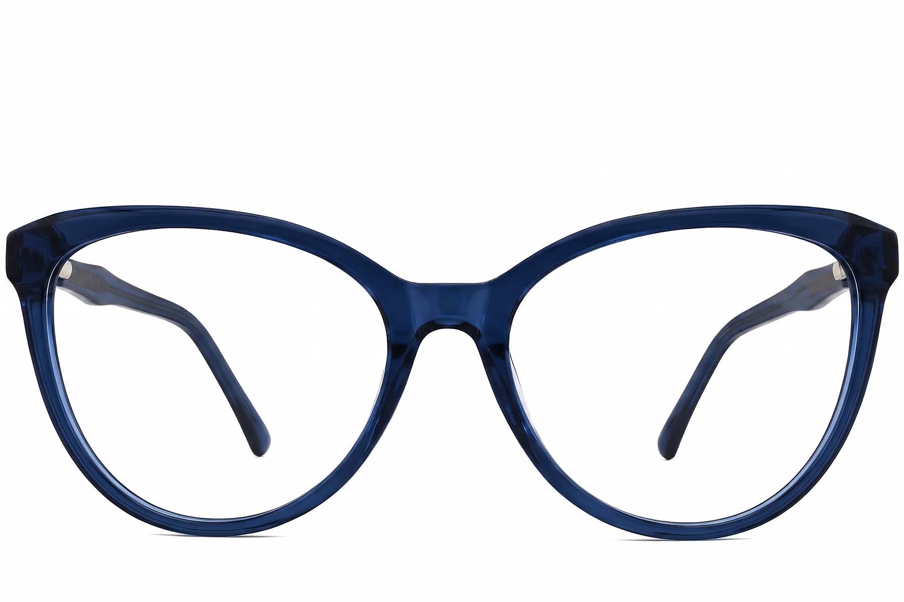 BS2012-0271_Blue_Butterfly_Acetate_Glasses_front