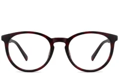 BS2012-0306_Tortoiseshell_Butterfly_Acetate_Glasses_corner-front