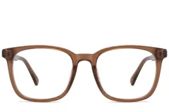 BS2012-0318_Brown_Rectangular_Acetate_Glasses_corner-front