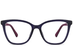 BS2012-0323_Purple_Butterfly_Acetate_Glasses_corner-front