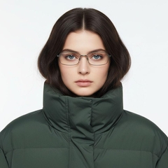 BS2012-0434_Brown_Rectangular_Metal_Glasses_model