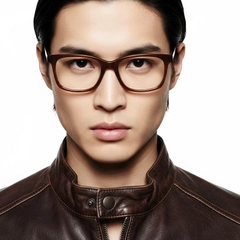 bs2012-0492_brown_rectangular_acetate_glasses_model