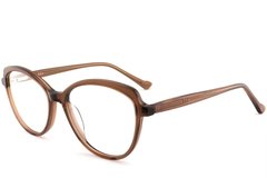 BS2012-0507_Brown_Butterfly_Acetate_Glasses_corner