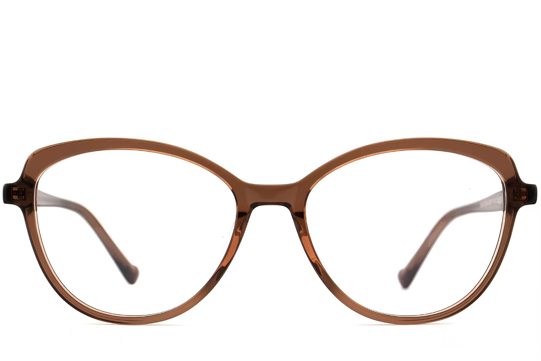 BS2012-0507_Brown_Butterfly_Acetate_Glasses_front
